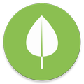Seasonal fruits and vegetables