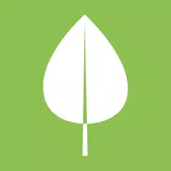 Seasonal fruits and vegetables