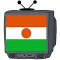 Niger TV Direct