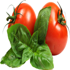 Tomatoes biểu tượng