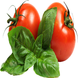 Tomatoes icon