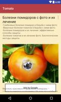 Tomatoes স্ক্রিনশট 1