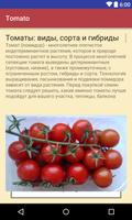 Tomatoes screenshot 2