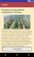 برنامه‌نما Tomatoes عکس از صفحه
