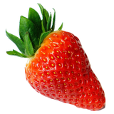 Tout sur les fraises icône