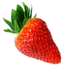 Tout sur les fraises APK