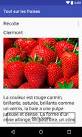 Tout sur les fraises capture d'écran 2