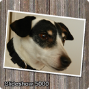 Slideshow 500 FREE APK