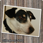 Slideshow 500 FREE 圖標