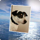 PhotoFlight Slideshow APK