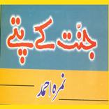 Jannat Kay Pattay Novel