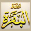 Surah Baqarah Audio アイコン