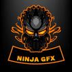 Ninja GFX Tool - ESP
