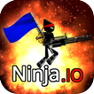 ”Ninja io