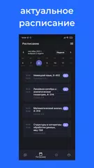 Ninja Mirea XAPK Herunterladen