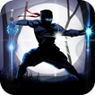 Ninja Shadow Revenge: Legendary Dragon