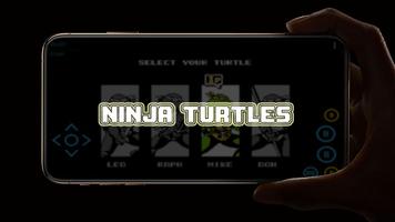 Hero Turtles: Mutant Ninja is  الملصق