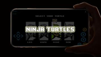 Hero Turtles: Mutant Ninja is  plakat