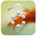 SL Touchwiz Theme