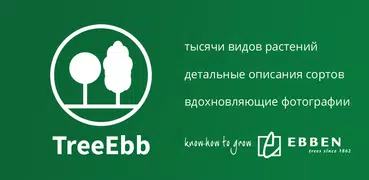Ebben TreeEbb