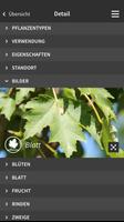 Ebben TreeEbb Screenshot 3