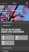 Ebben TreeEbb Plakat