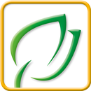 Springlish APK