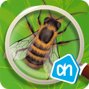 AH Insecten APK