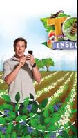 AH Insecten poster