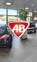 Auto Berkelland plakat