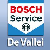 Bosch Car Service De Vallei icône