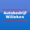 ikon Autobedrijf Willekes