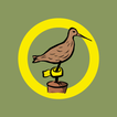 BirdRing アイコン