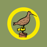 BirdRing