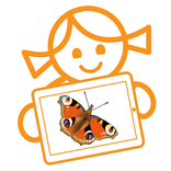 Rolf AR Leven van de Vlinder