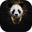DESIIGNER APK