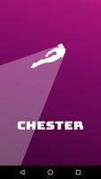 Chester, choose as an investor Affiche