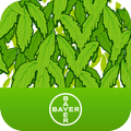 Herbiciden