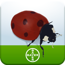Nuttig Insect APK