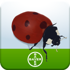 Nuttig Insect icon