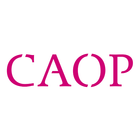 CAOP Group Decision Room icon