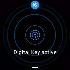 Salto KS XAPK Herunterladen