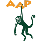 Just AAP Run icône