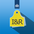 I&R icon