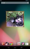 I Love Kittens Widget poster