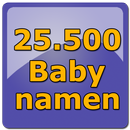 Babynamen NL APK