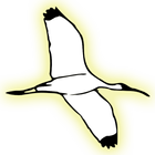 Bird Sounds icon