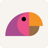 Salvidas Alarm - groene knop