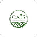 Cais Viet APK