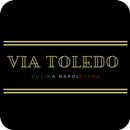Via Toledo APK